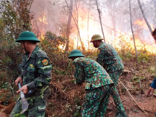 Lại cháy rừng ở Diễn Châu (Nghệ An) -0