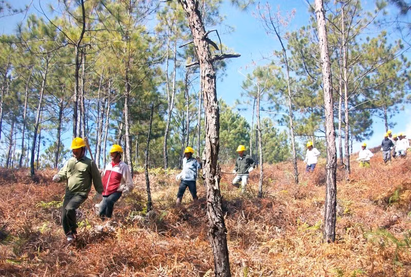 USAID tài trợ hơn 31 triệu USD triển khai dự án về thích ứng biến đổi khí hậu tại Việt Nam -0