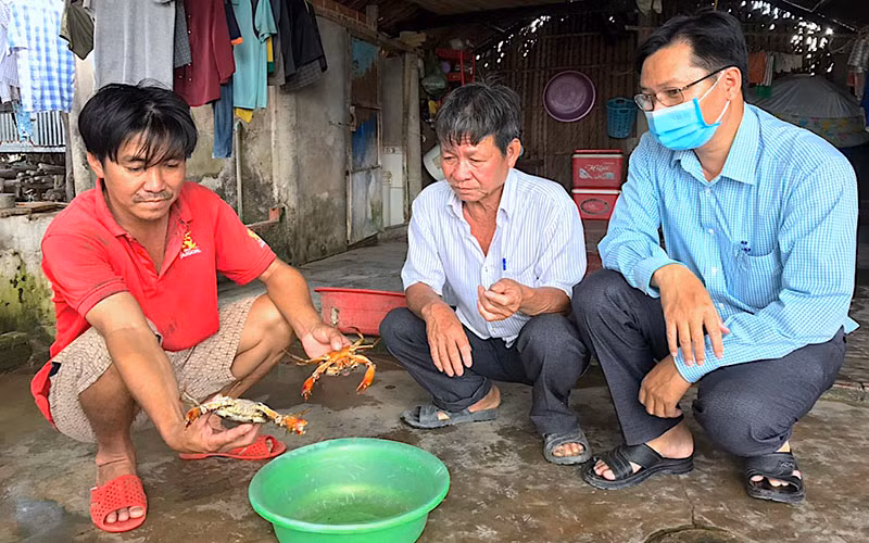 Dịch bệnh khiến cua nuôi trong vuông tôm chết hàng loạt những tháng đầu năm 2022 nhưng chưa có giải pháp khắc phục hữu hiệu.