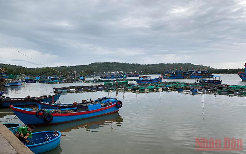 Nhiều hộ nuôi cá tự phát đặt lồng bè lấn chiếm, làm cho tàu thuyền khó khăn khi ra vào neo đậu tránh trú bão trên cửa Lễ Thịnh, xã An Ninh Đông, huyện Tuy An, Phú Yên. (Ảnh minh họa: TRÌNH KẾ)
