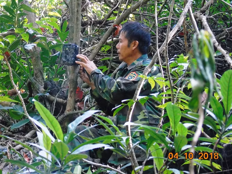 Cần bảo tồn khẩn cấp loài vọoc mông trắng tại Hà Nam -0