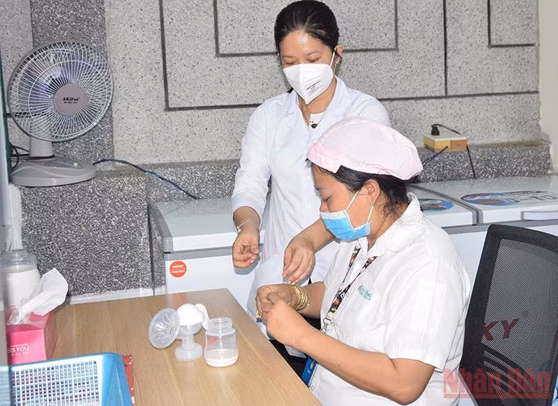 Công nhân Công ty TNHH Tỷ Thạc thực hiện quy trình vắt, trữ sữa mẹ.