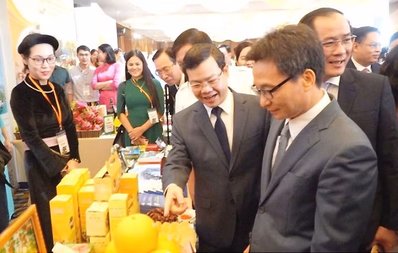 Liên kết phát triển du lịch giữa TP Hồ Chí Minh với tám tỉnh Đông Bắc -0