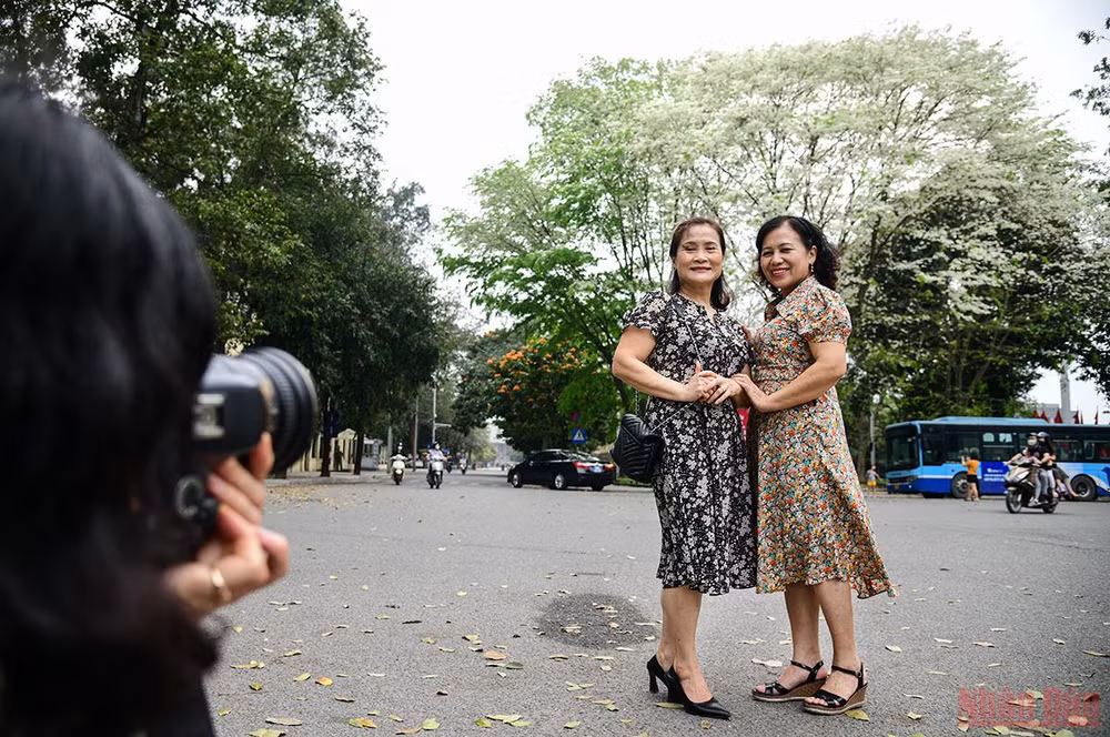 Hà Nội rực rỡ mùa hoa tháng 3 -0