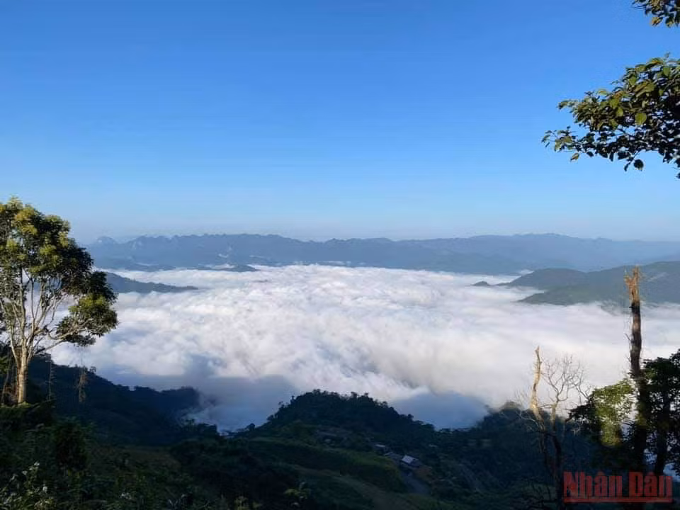 Biển mây trên đỉnh Đồn Đèn, huyện Ba Bể.