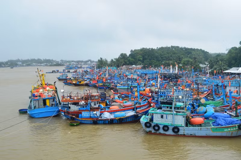 Tàu cá của ngư dân Bình Sơn (Quảng Ngãi) vào bờ tránh bão số 6.