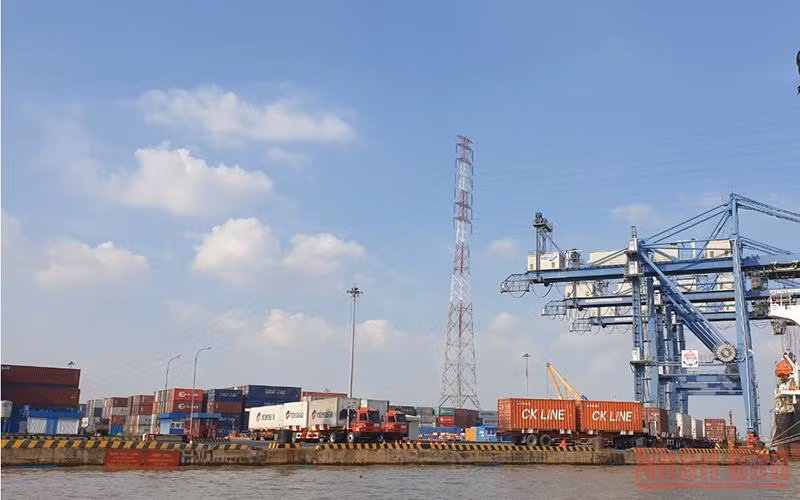 Hoạt động vận chuyển hàng hóa tại các cảng trên địa bàn Thành phố Hồ Chí Minh.