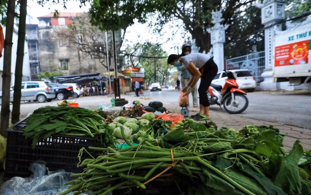 ttxvn_ha_noi_binh_thuong_moi_11-1648435728585.jpeg