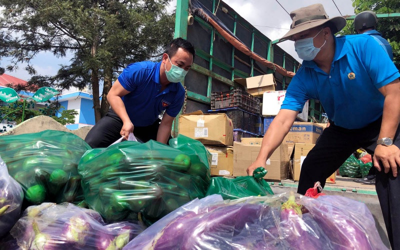 Tuổi trẻ Lâm Đồng phân loại, đóng gói nông sản để đưa lên những “chuyến xe yêu thương”.