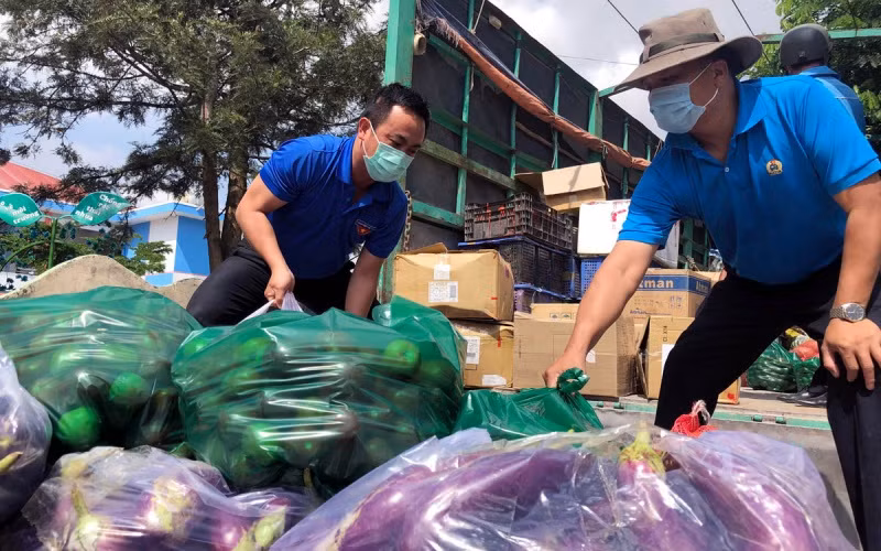 Tuổi trẻ Lâm Đồng phân loại, đóng gói nông sản để đưa lên những “chuyến xe yêu thương”.