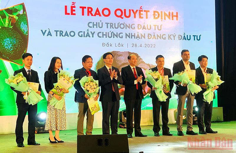 Lãnh đạo tỉnh Đắk Lắk trao quyết định chủ trương đầu tư cho các doanh nghiệp. Đắk Lắk đẩy mạnh thu hút đầu tư vào lĩnh vực nông nghiệp -0