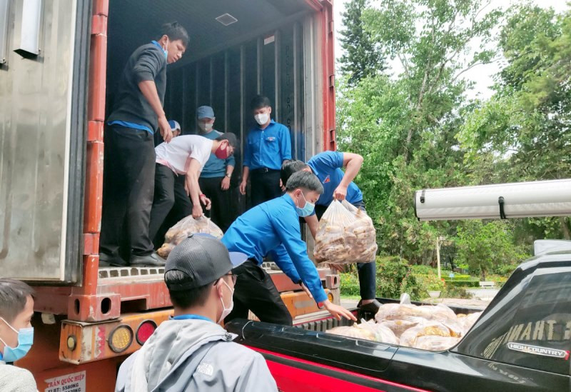 Chuyển rau từ xe thu gom sang xe chuyên dụng để hỗ trợ nhân dân tỉnh Phú Yên trong chiều 20/7. Thêm những “chuyến xe yêu thương” từ Lâm Đồng về các vùng dịch -0