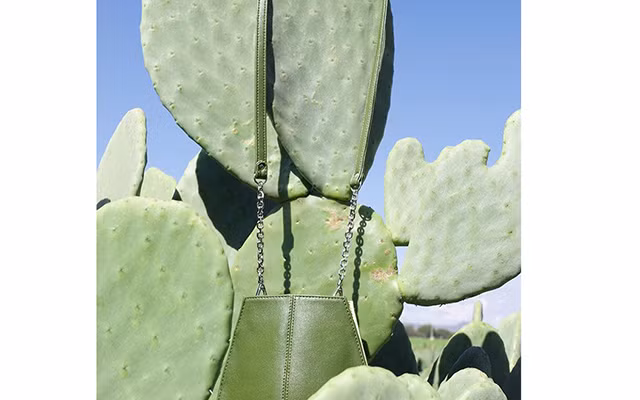 Thời trang “hữu cơ” ảnh 1