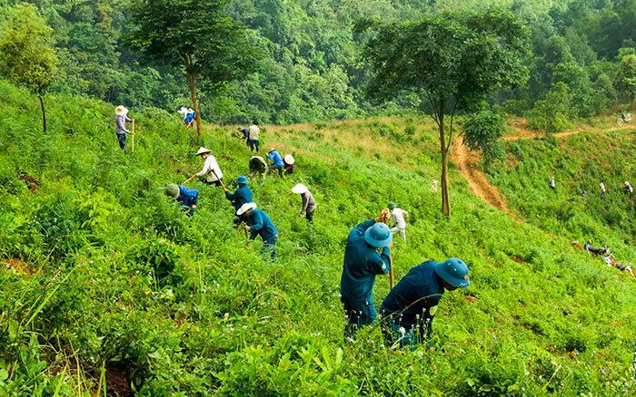 Người dân xã Búng Lao (huyện Mường Ảng) trồng rừng phòng hộ. Ảnh: baotainguyenmoitruong.vn