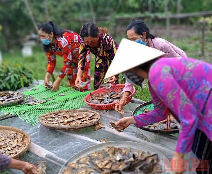 Phụ nữ Cà Mau “đảm việc nhà, giỏi việc nước” -0