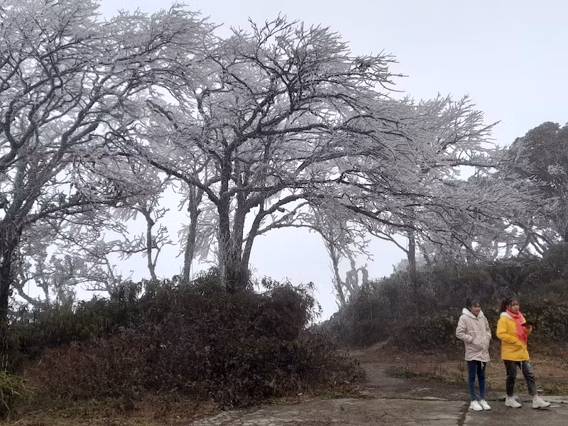 Băng giá phủ trắng xóa đỉnh Phja Oắc -0