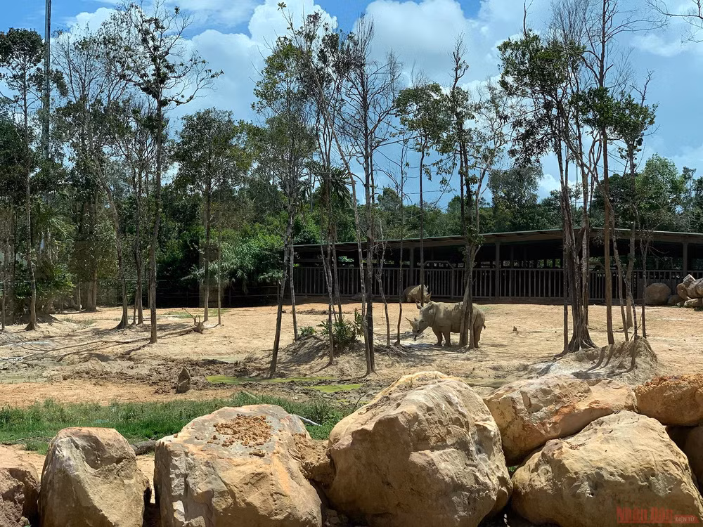 45_safari_phu_quoc-1593508601748.jpg