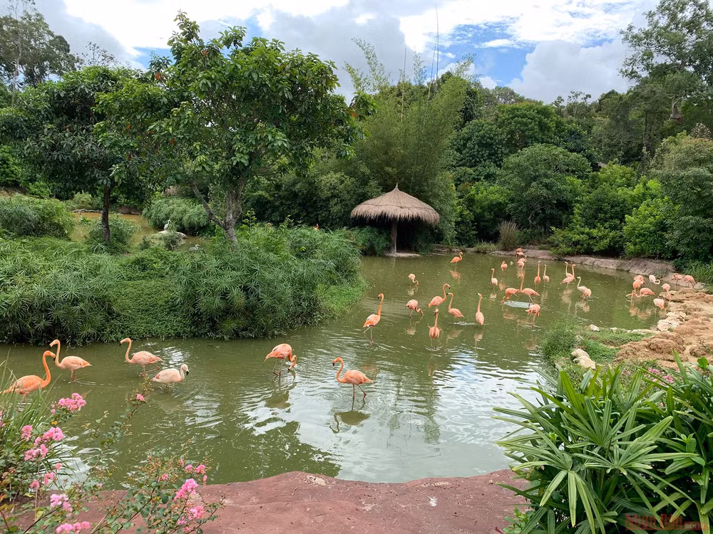 Trải nghiệm công viên động vật hoang dã Safari Phú Quốc -0