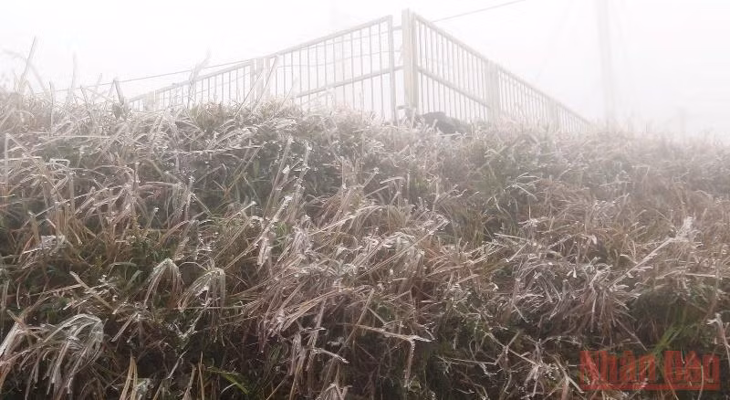 Hình ảnh băng tuyết trên khu du lịch Mẫu Sơn.