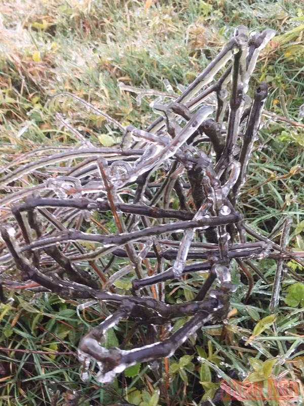 Mẫu Sơn xuất hiện băng tuyết, nhiệt độ âm 0,4 độ C -1