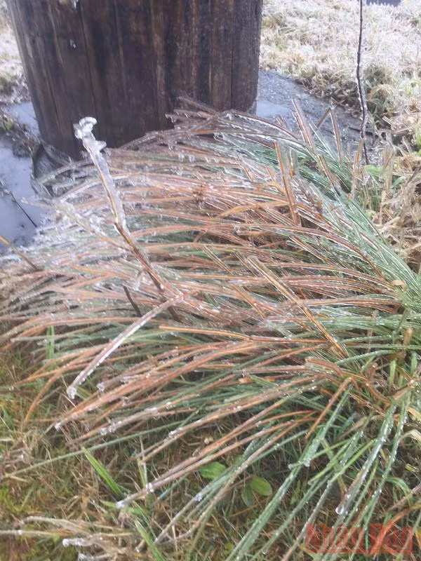 Mẫu Sơn xuất hiện băng tuyết, nhiệt độ âm 0,4 độ C -0