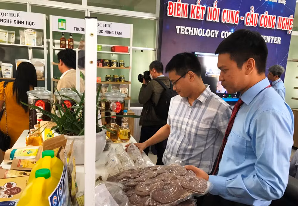 Khai trương Cổng kết nối dữ liệu Quốc gia, Sàn giao dịch công nghệ và điểm kết nối cung - cầu công nghệ -0