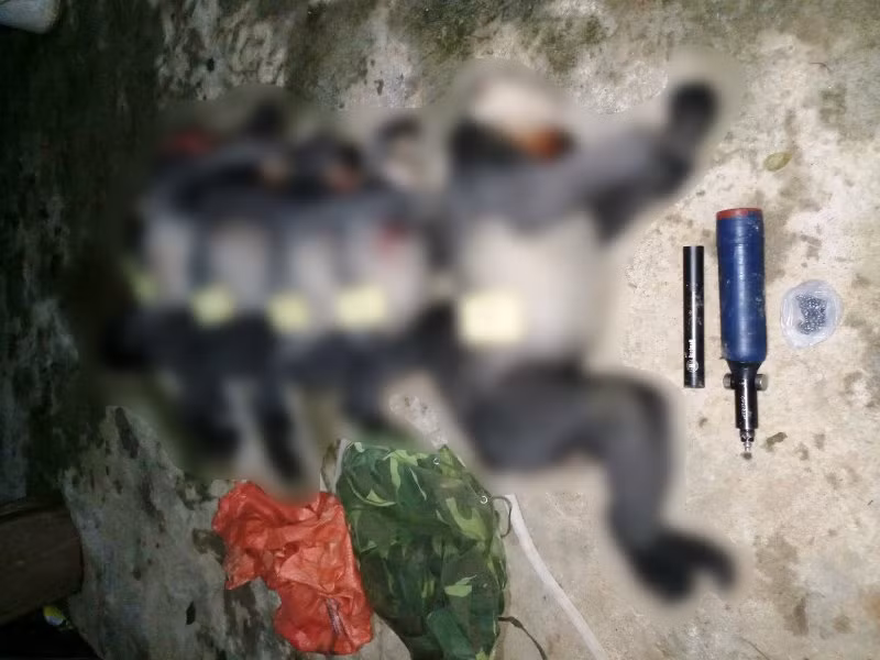 Năm cá thể voọc chà vá chân xám bị bắn chết. (Ảnh: Hạt Kiểm lâm huyện Ba Tơ cung cấp).