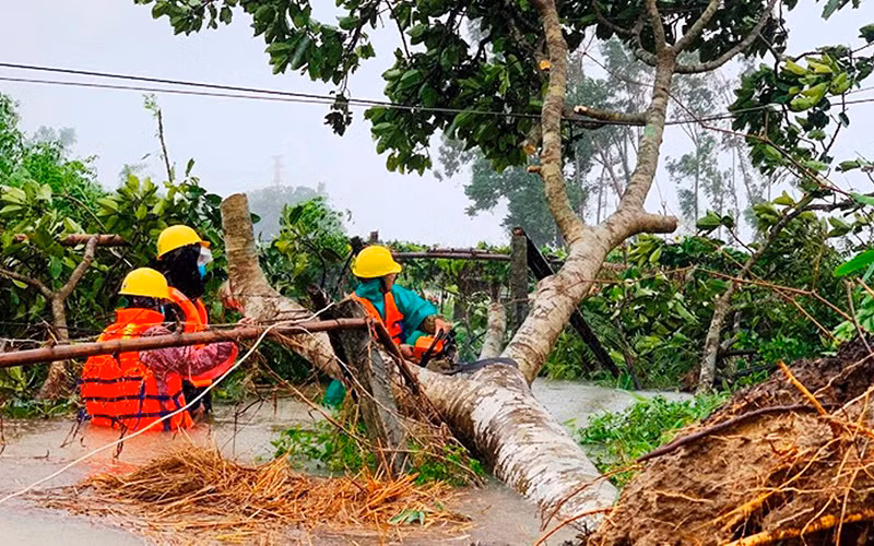 Điện lực Quảng Nam khắc phục sự cố do bão số 5.