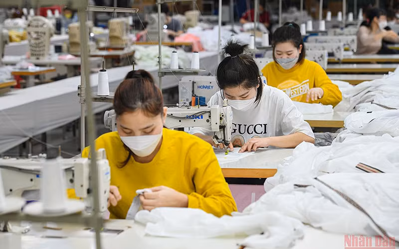 Ảnh: Thành Đạt