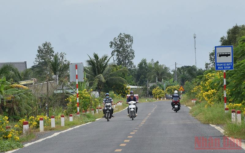 Tuyến lộ nông thôn được trồng hoa 2 bên đường ở xã Mỹ Đông.