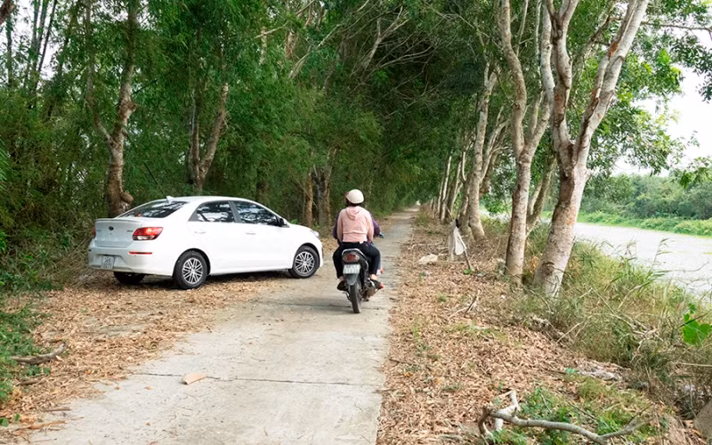 Tuyến đường tuần tra quản lý bảo vệ rừng trong VQG U Minh Thượng (có sai phạm).