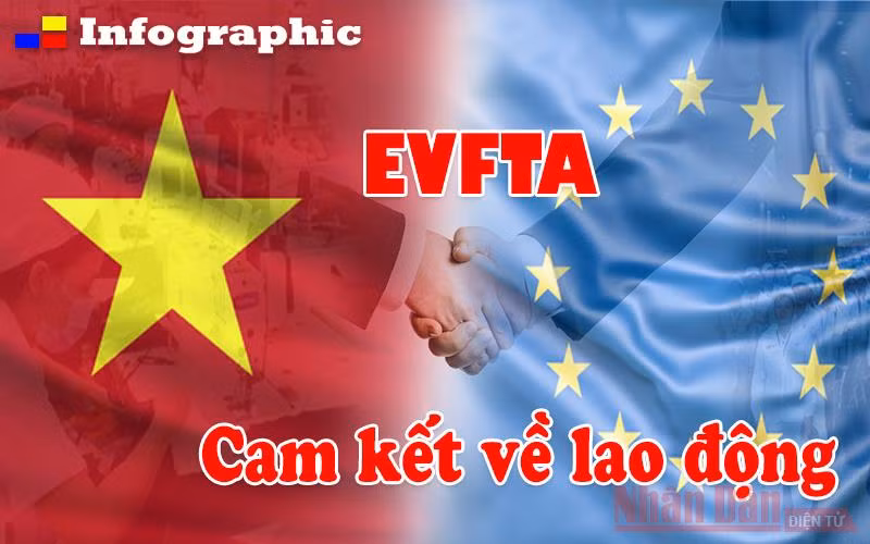 [Infographic] Cam kết về lao động trong EVFTA