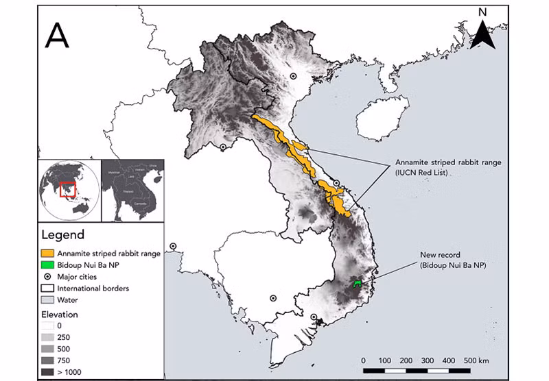 Lần đầu phát hiện thỏ vằn Trường Sơn tại Vườn quốc gia Bidoup-Núi Bà -0
