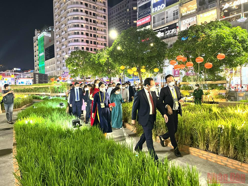 Một tiểu cảnh bạt ngàn màu xanh của lúa tại Đường hoa Nguyễn Huệ. Đường hoa Nguyễn Huệ Tết Nhâm Dần 2022 chính thức mở cửa phục vụ người dân -0