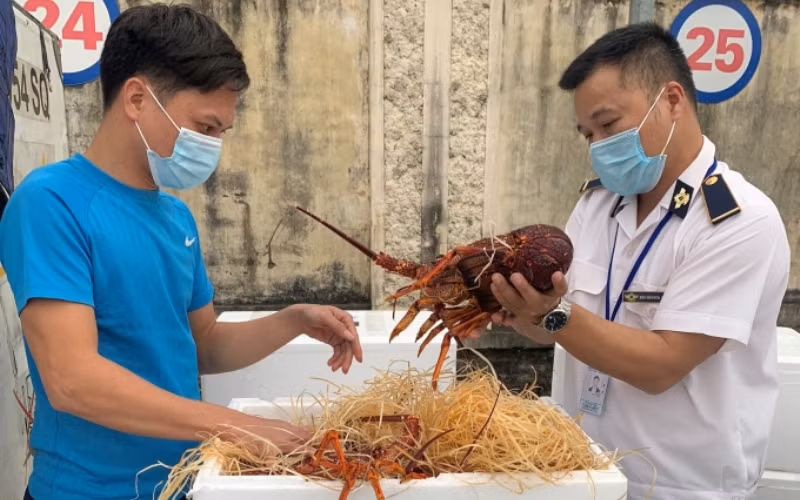 Thông tư 11 bắt đầu có hiệu lực từ ngày 6/11/2021 thay thế Thông tư số 15/2018/TT-BNNPTNT (ảnh minh họa)