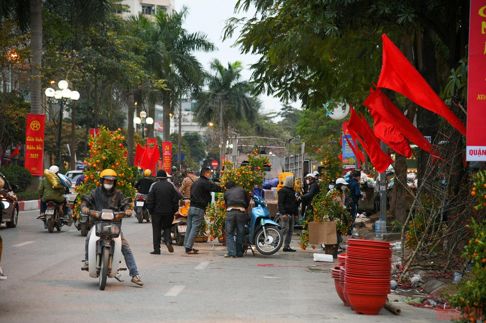 ...hay cây quất để trang trí nhà cửa ngày Tết. (Ảnh: THÀNH ĐẠT) Những khoảng khắc ngày cuối năm -0
