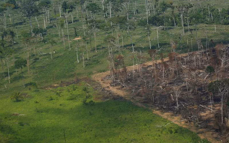 Ảnh chụp từ trên không cho thấy một khu vực rừng Amazon bị chặt phá ở bang Rondonia, Brazil ngày 28/9/2021. (Ảnh: Reuters)