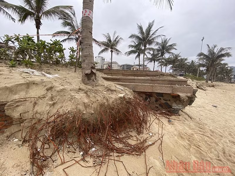 Đà Nẵng tìm giải pháp nhằm hạn chế xói lở bờ biển -0