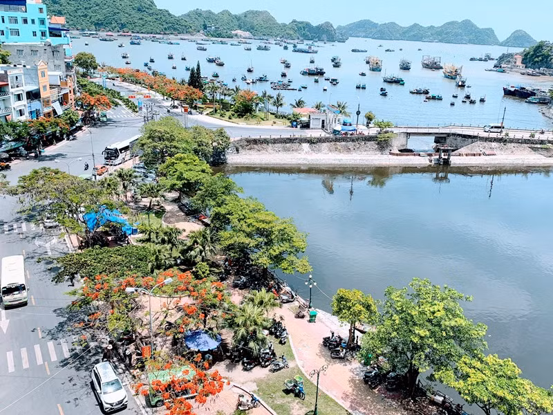 Quang cảnh vịnh Cát Bà (huyện Cát Hải).