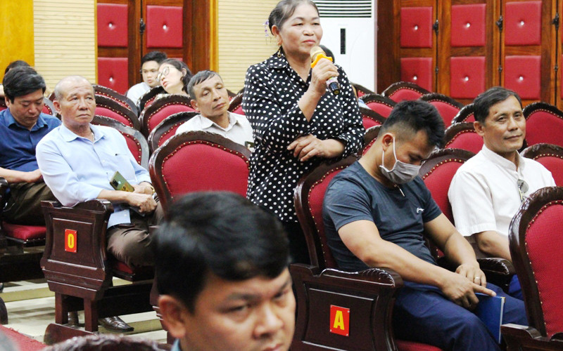 Nông hộ chia sẻ hiệu quả trồng cây gai xanh trên đồng đất huyện Cẩm Thủy, tỉnh Thanh Hóa. Phát triển cây gai xanh gắn với chế biến ở một số tỉnh phía bắc -0