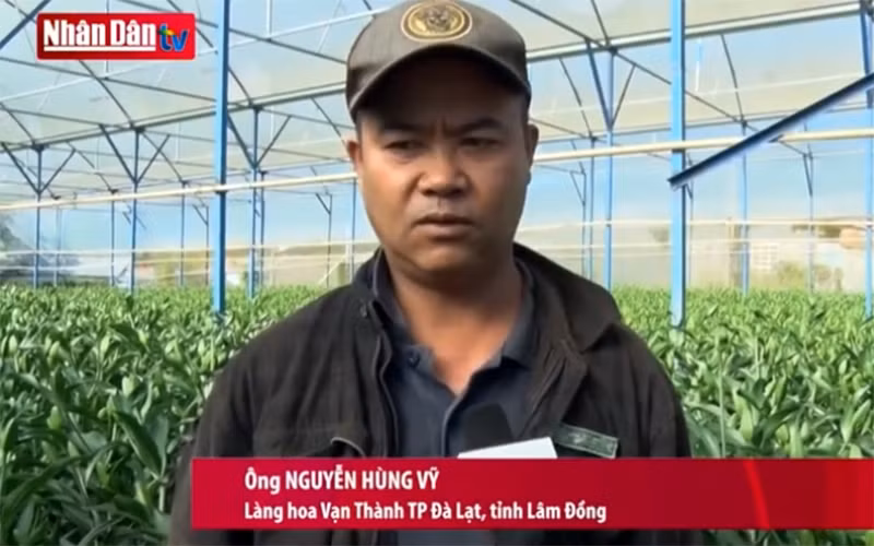 Làng hoa Đà Lạt hối hả vào tết