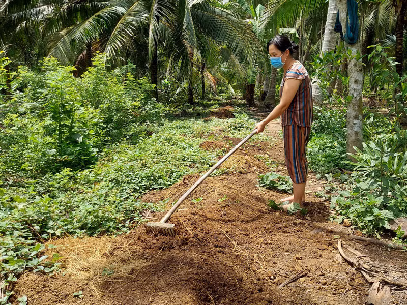 Phụ nữ Bến Tre phát triển sản xuất gắn với bảo vệ môi trường -0