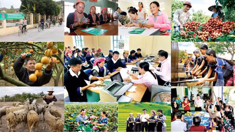 Nguồn vốn chính sách trở thành đòn bẩy giúp nhiều hộ gia đình thoát nghèo.