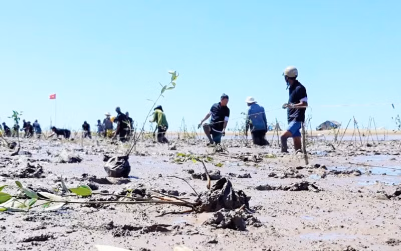 Tăng cường khả năng thích ứng với biến đổi khí hậu của cộng đồng ven biển đồng bằng sông Cửu Long -0