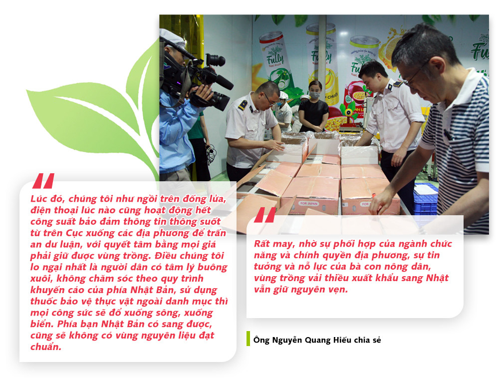 Chuyện trí tuệ Việt đưa vải thiều sang Nhật ảnh 4 quote02-1593635051242.jpg