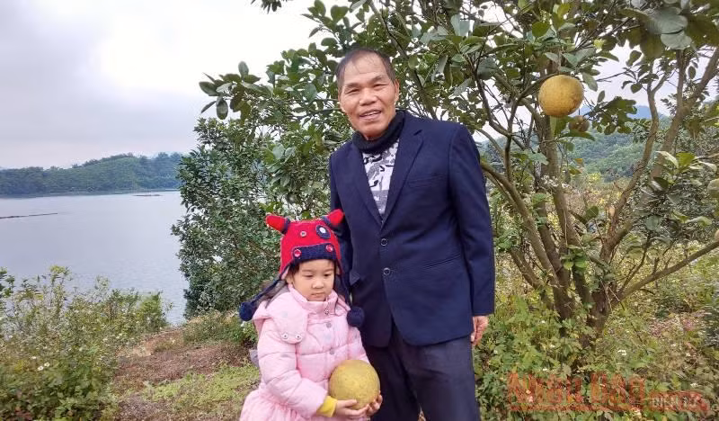 “Lâm tặc” được Chủ tịch nước về thăm nhờ kỳ tích trồng rừng -0