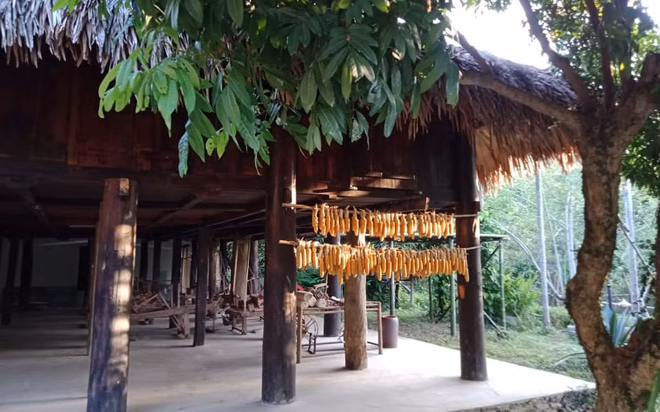Giám đốc Bảo tàng không gian văn hóa Mường được trao giải thưởng về Di sản -0