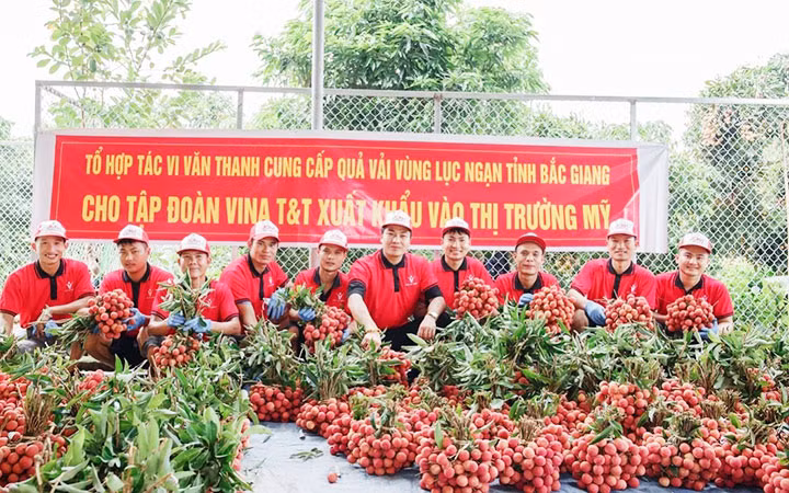 Định vị vai trò, sứ mệnh của nông nghiệp, nông thôn -0