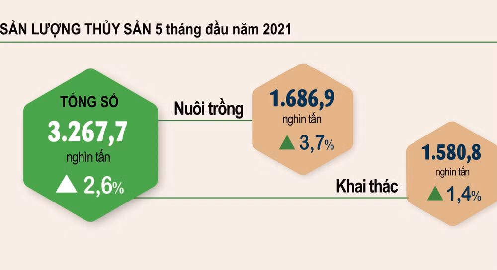 Trồng trọt thuận lợi, chăn nuôi tăng khá -0