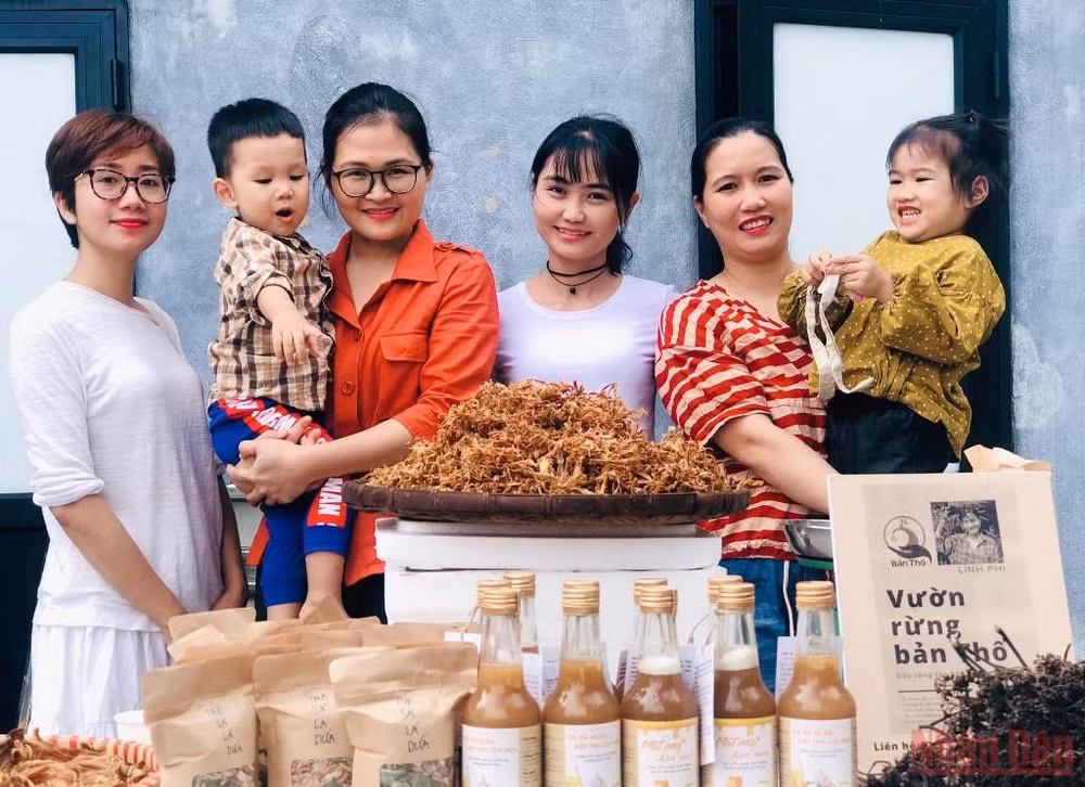Người phụ nữ bản Thổ khát vọng hồi sinh những cánh rừng và giấc mơ sinh kế bền vững -0